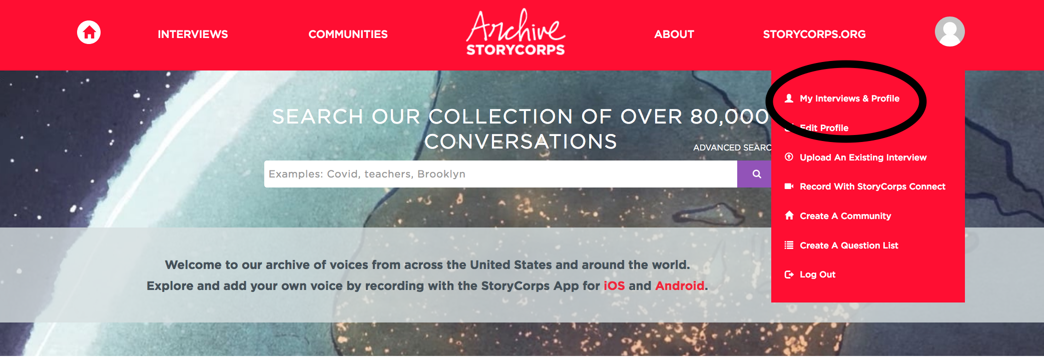 Article Collection Archive